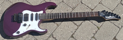 Washburn MG40